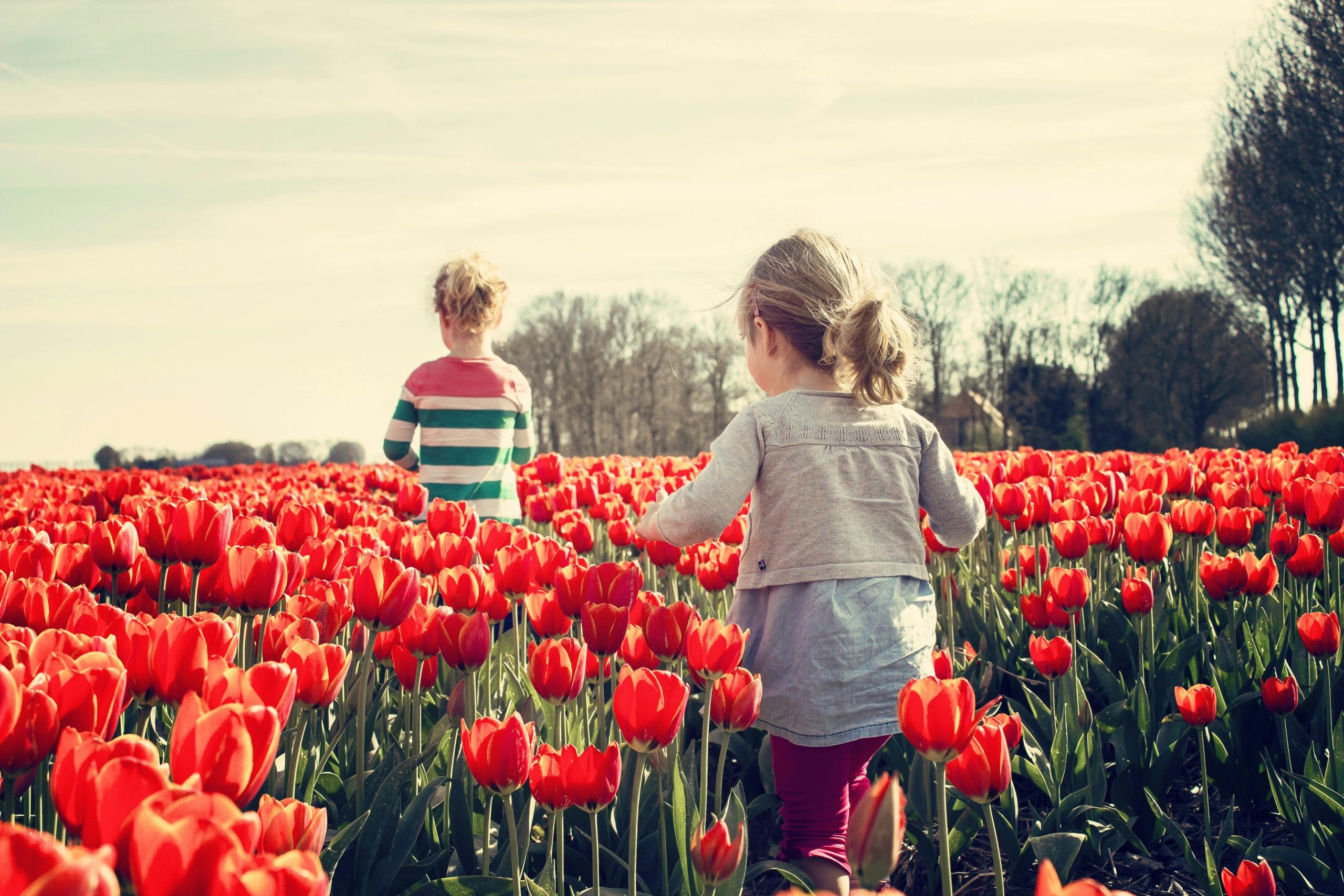 Vacatures Kinderrechtencollectief